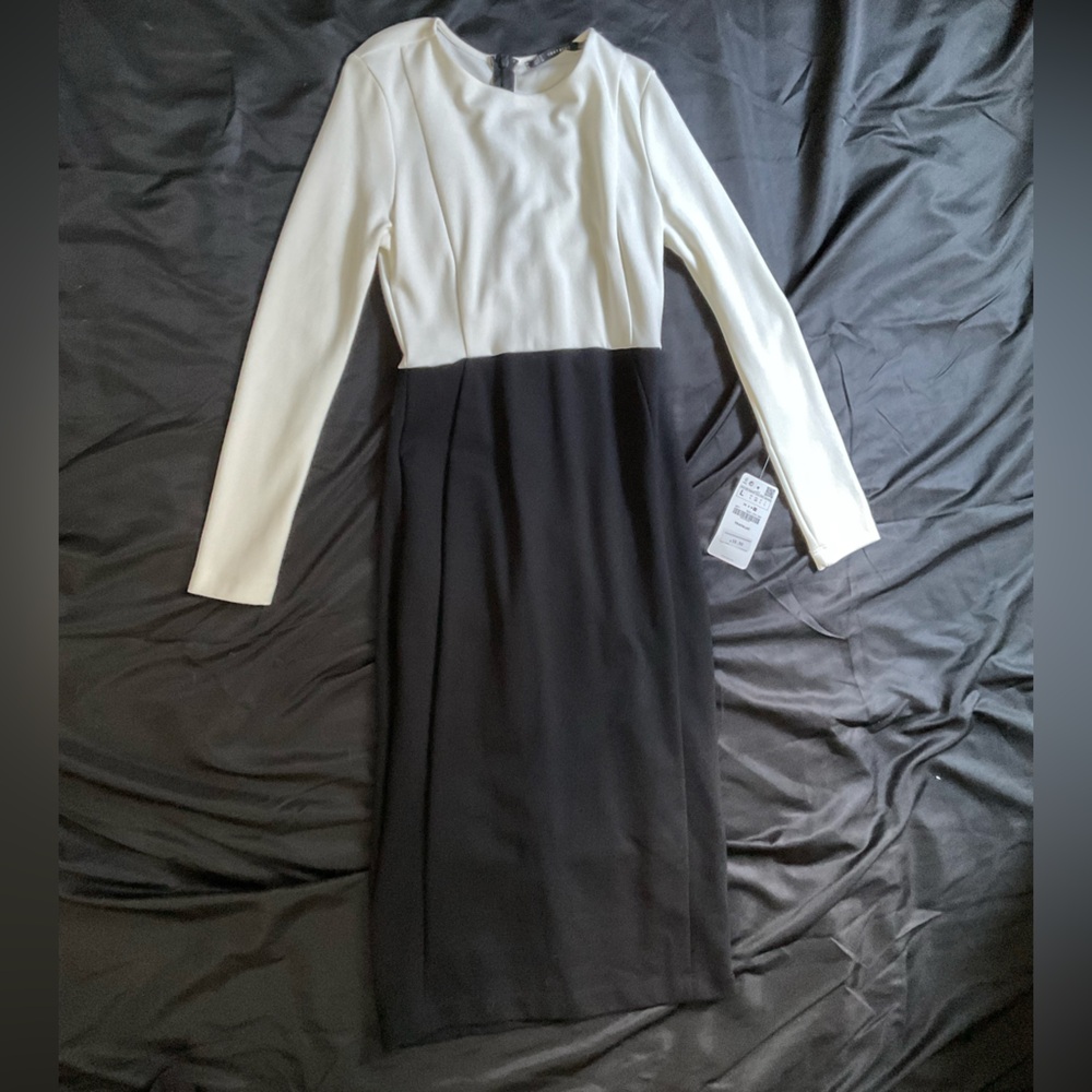 Zara Black and White Elegant Dress